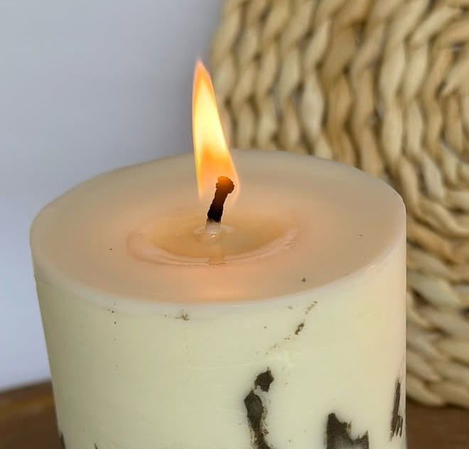 Pré-Visualização 2026-02-10 09.02.21.png