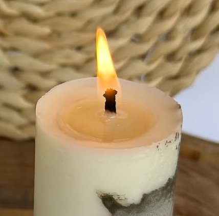 Pré-Visualização 2026-02-10 09.02.34.png